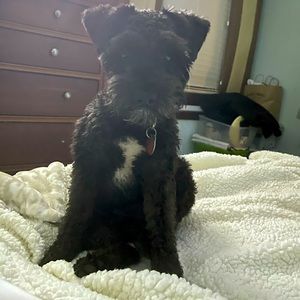 Meet your Posher, Niecy